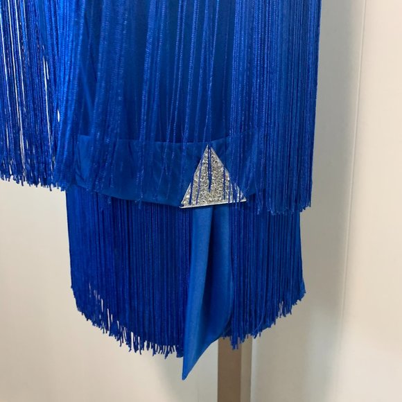 Stunning Rare Vintage Fringe Dress - Picture 7 of 15